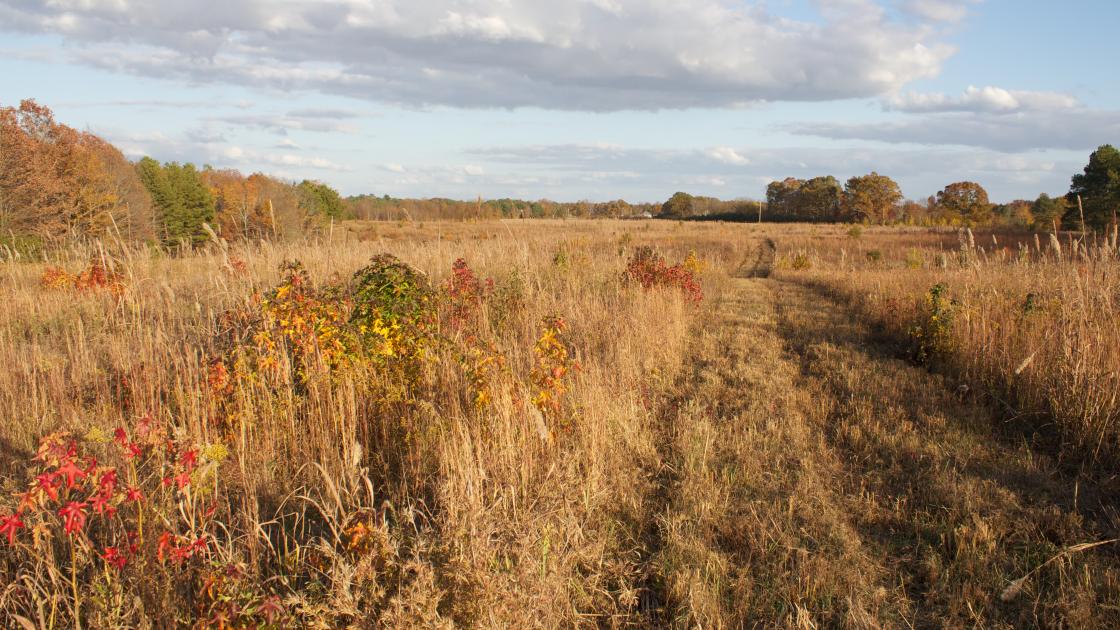 Fallen Timbers Then Now American Battlefield Trust